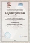 Фомина Елена Анатольевна 2025-2026